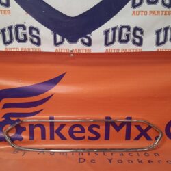 Moldura Parrilla Figo 2019 - 2021 Cromo (nv Tw)