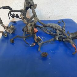 Arnés Motor Ford Figo Ori 1.5 Sedan Std 4 Cil 2016/21