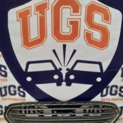 Parrilla Ford Figo 2016-2017-2018detalles