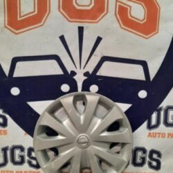 Polvera Nissan Versa R15