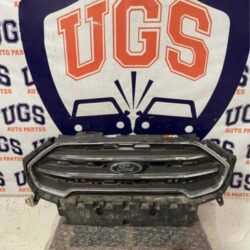 Parrilla Ecosport 2018 2020 Detallito