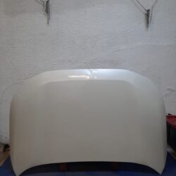 Cofre Toyota Rav4 2019 - 2022 (detalle)