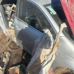 Puerta delantera derecha de Bora 2007 solo lámina