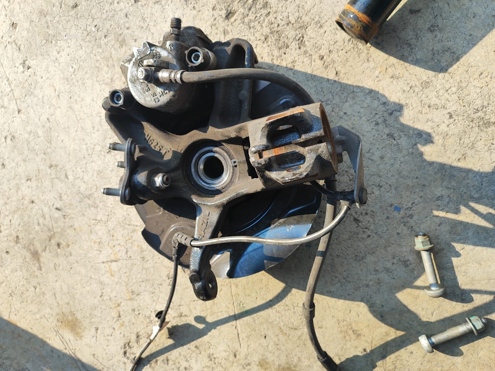 MANGO DERECHO DE TERA 2024 2026 - Imagen 4