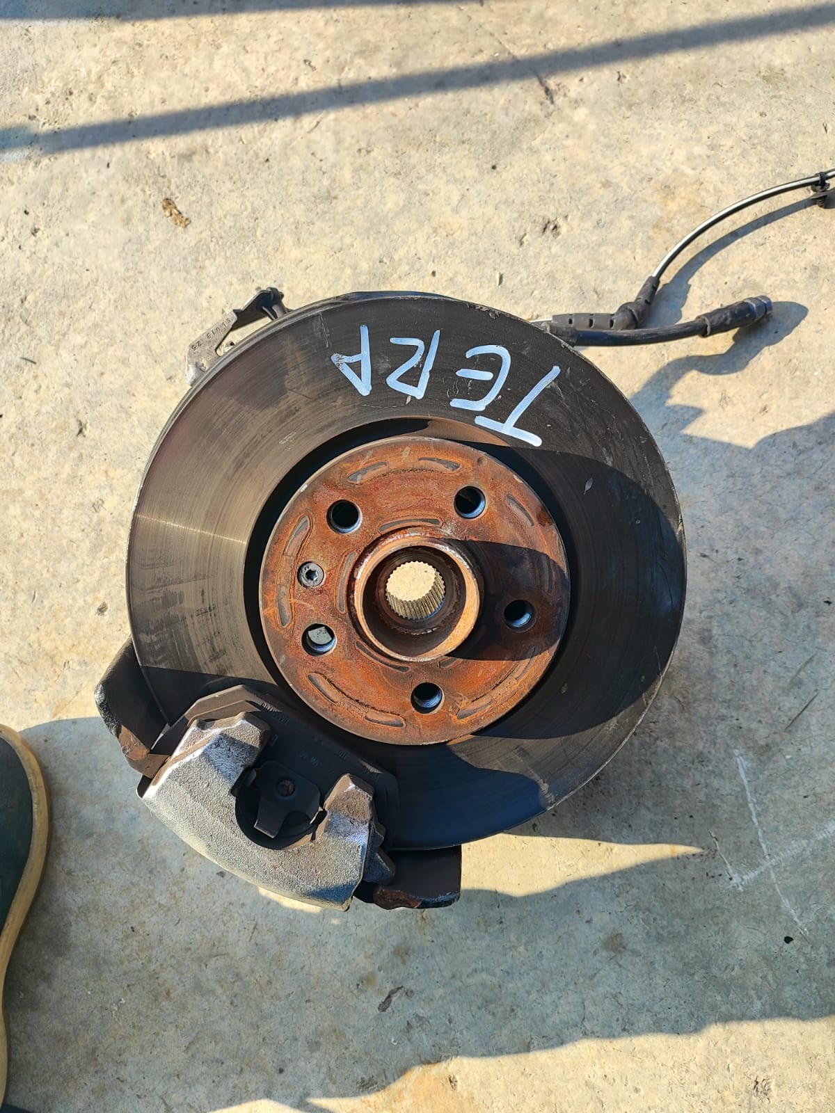 MANGO DERECHO DE TERA 2024 2026 - Imagen 3