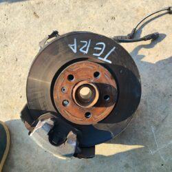 MANGO DERECHO DE TERA 2024 2026